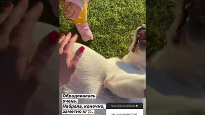Нажми и смотри Нажми и смотри