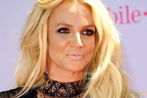 Бритни Спирс утверждала, что в доме на Ризинг Глен Роуд ее кто-то преследовал Бритни Спирс утверждала, что в доме на Ризинг Глен Роуд ее кто-то преследовал