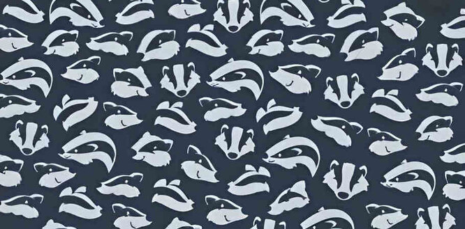 Puzzle of the day: which animal hid among the badgers? Puzzle of the day: which animal hid among the badgers?