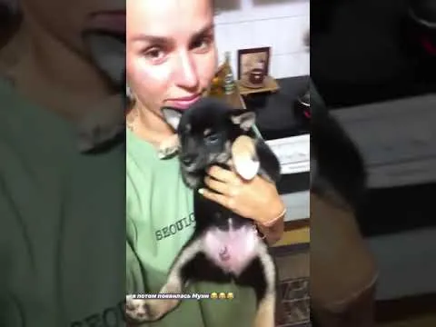 Нажми и смотри Нажми и смотри