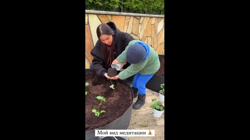 Нажми и смотри Нажми и смотри