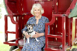 Знала, что будет королевой: как Камилла Паркер-Боулз боролась за любовь Британии с помощью одежды