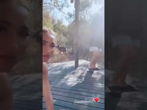 Нажми и смотри Нажми и смотри