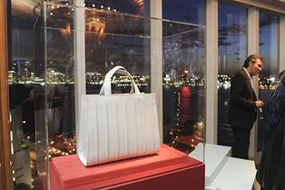 Max Mara презентовали новую сумку Whitney Bag