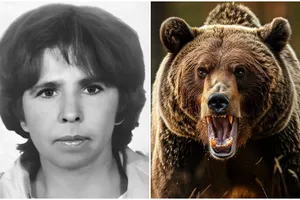 «Растерзал медведь»: россиянка Полина Вышегородцева погибла на Калым-горе