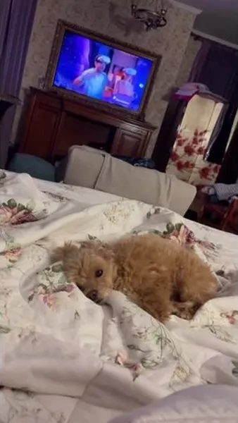 Нажми и смотри