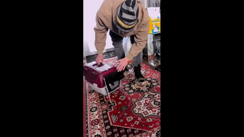 Нажми и смотри Нажми и смотри