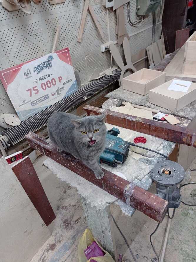 Кот на заводе мем. Коты ишачат на заводе. кот ишачит на заводе. заводские коты. кошки на фабрике.