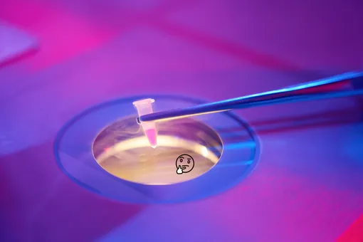 Хранение замороженных яйцеклеток: ответы на самые трудные вопросы