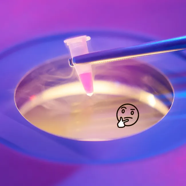 Хранение замороженных яйцеклеток: ответы на самые трудные вопросы