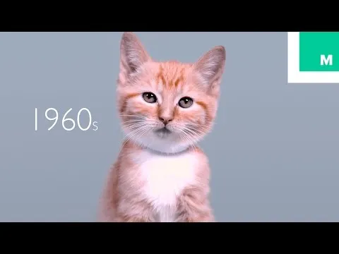 Нажми и смотри