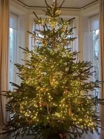 Нажми и смотри