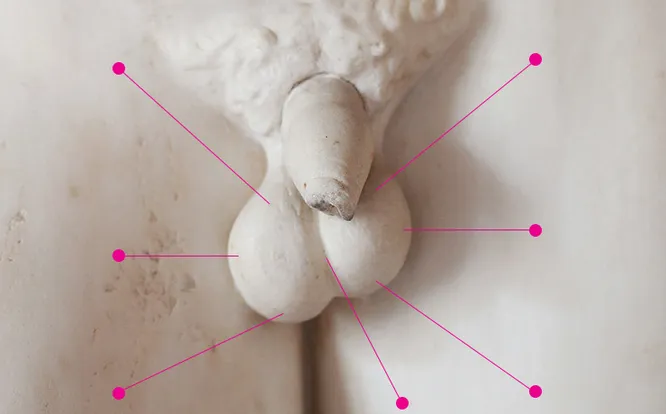 Мужские яички: как доставить ему удовольствие Мужские яички: как доставить ему удовольствие