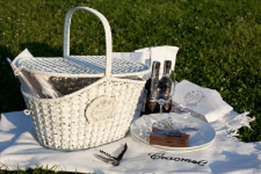 Возьми счастье на пикник