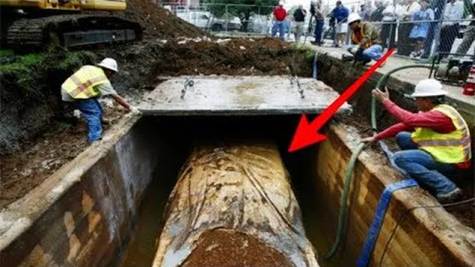 Нажми и смотри