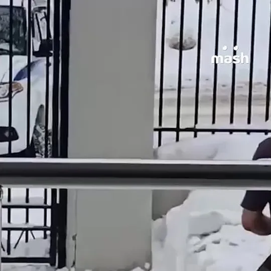 Нажми и смотри