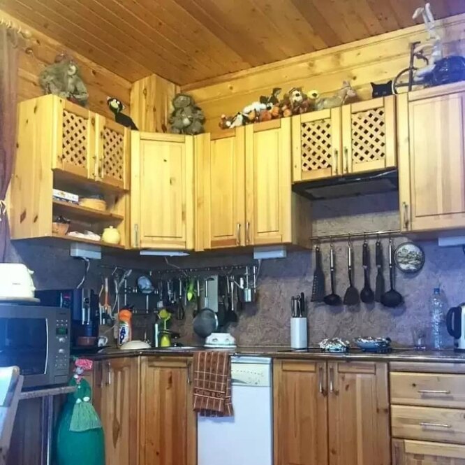 Brain exercise: find the cat hiding in the kitchen!