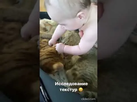 Нажми и смотри Нажми и смотри