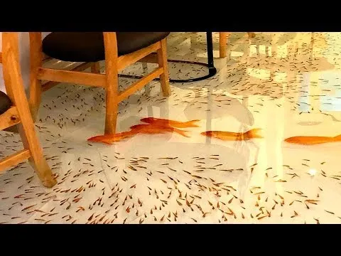 Нажми и смотри