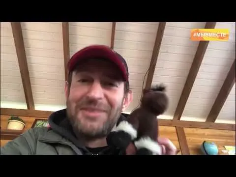 Нажми и смотри Нажми и смотри