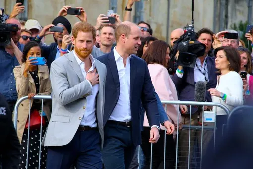 Диана бы гордилась Гарри и Уильямом Диана бы гордилась Гарри и Уильямом