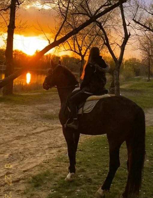 Сильно пострадали пять лошадей
