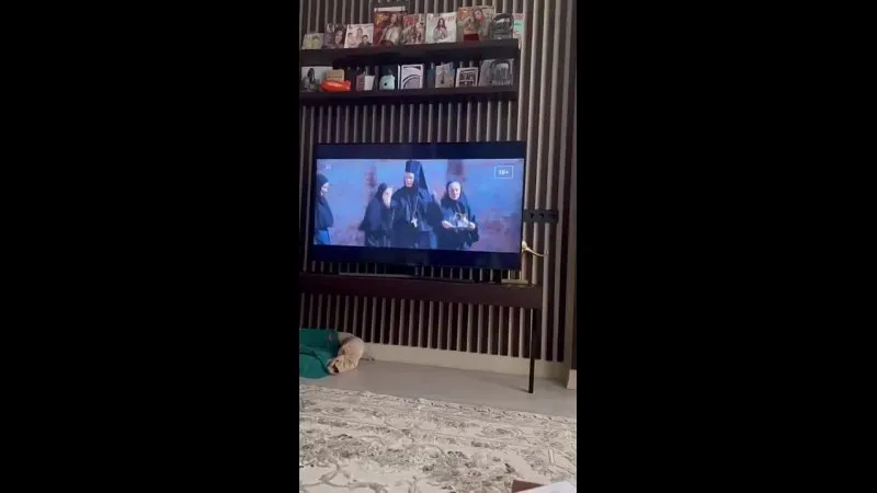 Нажми и смотри Нажми и смотри