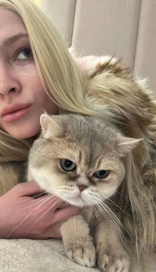 Алена Шишкова с котом Иви Алена Шишкова с котом Иви