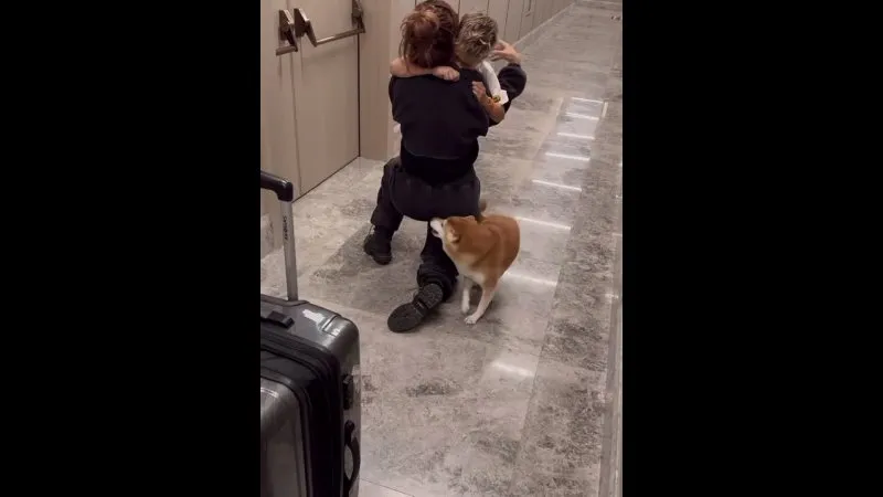 Нажми и смотри Нажми и смотри