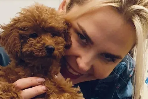 «Ждем "Голос. Собаки"»: Пелагея показала забавное видео с домашним любимцем «Ждем "Голос. Собаки"»: Пелагея показала забавное видео с домашним любимцем