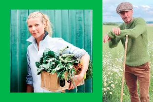 Пэлтроу, Бекхэм и другие: звезды, которые любят посидеть на грядках