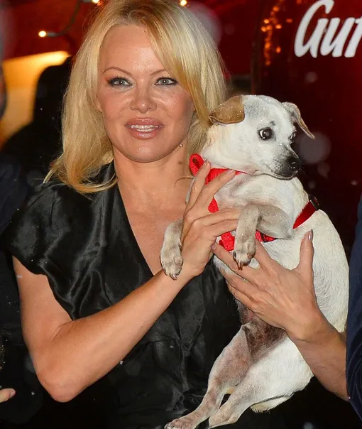 Зоозащитница с удовольствием позировала фотографам