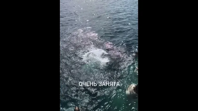 Нажми и смотри Нажми и смотри
