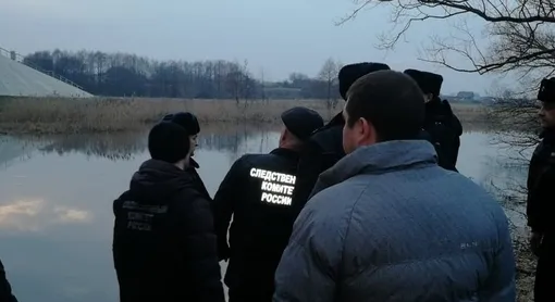 дело лизы черновой
