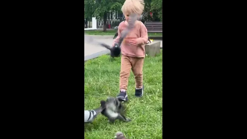 Нажми и смотри Нажми и смотри