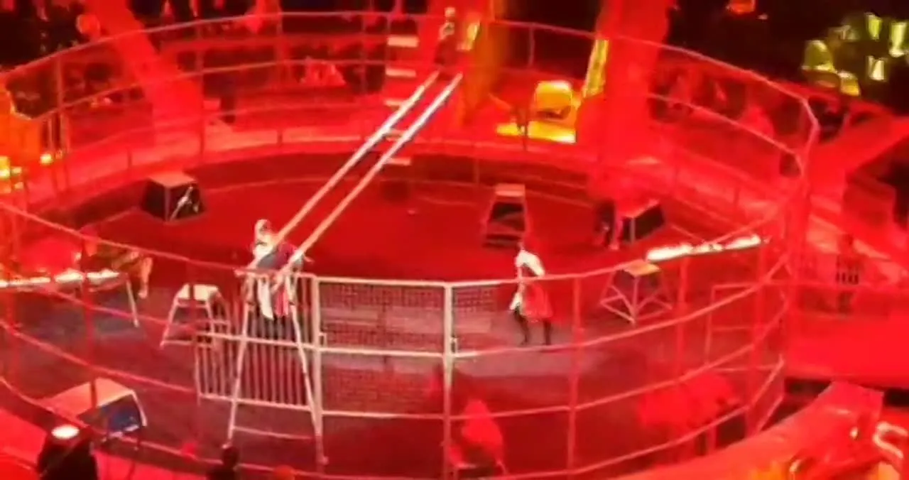 Нажми и смотри Нажми и смотри