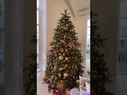 Нажми и смотри Нажми и смотри