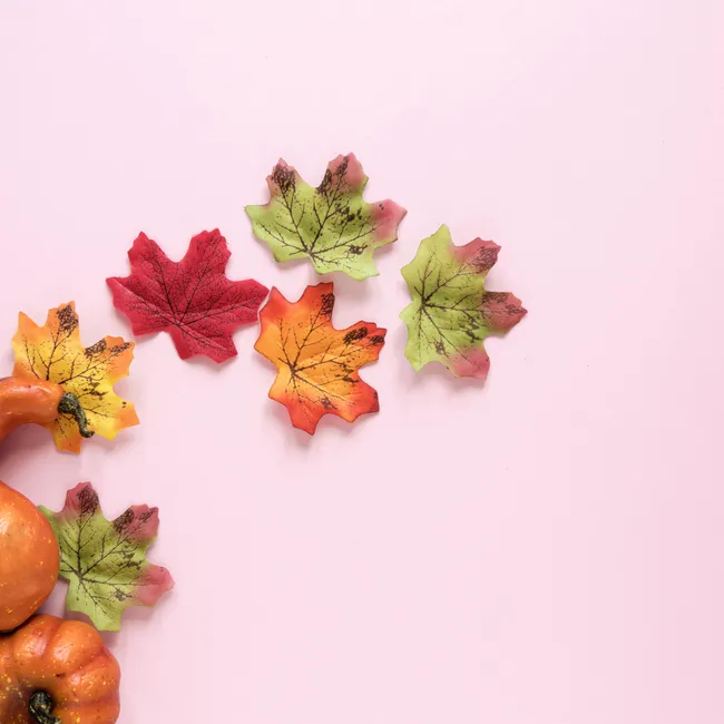 6 важных нюансов в питании осенью, которые помогут сохранить здоровье (и кошелек)