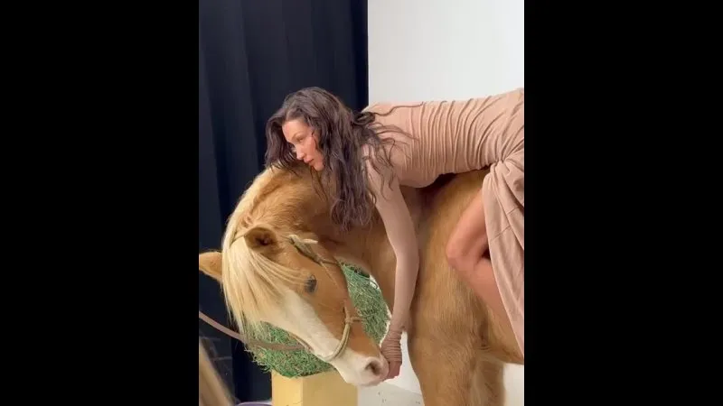Нажми и смотри Нажми и смотри
