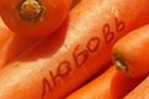 Спрашивали? Отвечайте! Спрашивали? Отвечайте!
