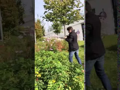 Нажми и смотри Нажми и смотри