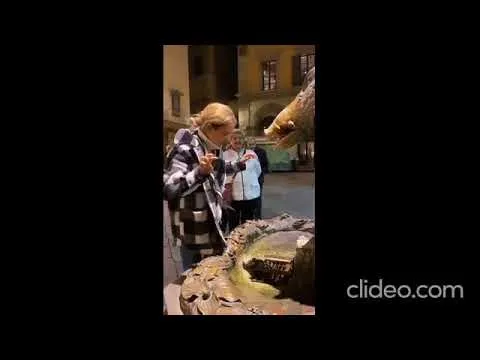 Нажми и смотри Нажми и смотри