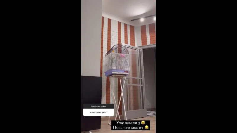 Нажми и смотри Нажми и смотри