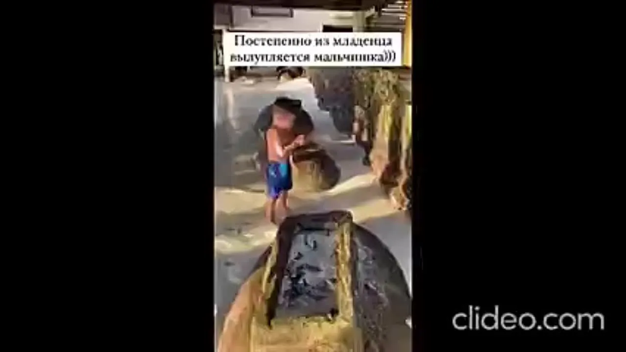Нажми и смотри Нажми и смотри