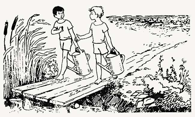 Who will bring more water in a watering can?