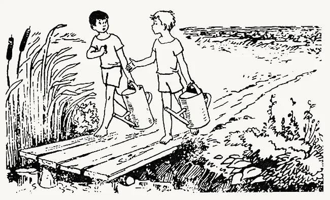 Кто принесет больше воды в лейке?