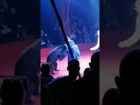 Нажми и смотри