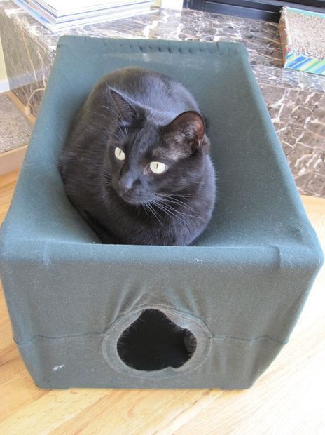 House for a cat from an old T-shirt