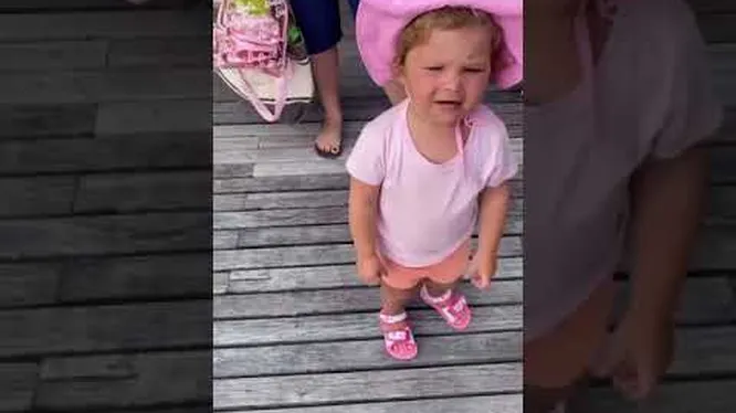 Нажми и смотри