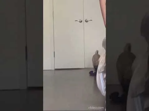 Нажми и смотри